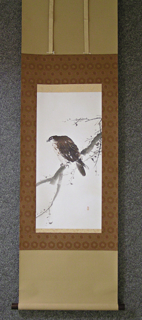 Hawk