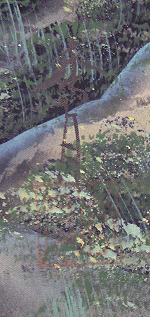 Signature and Seal of Syugetsu Ohtani