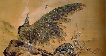 Kujaku no Zu, Peacock 1890