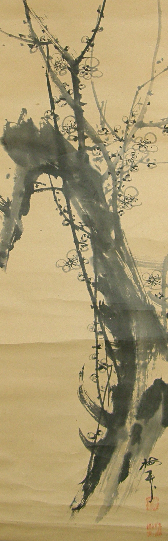 Ume, Japanese Apricot Flowers