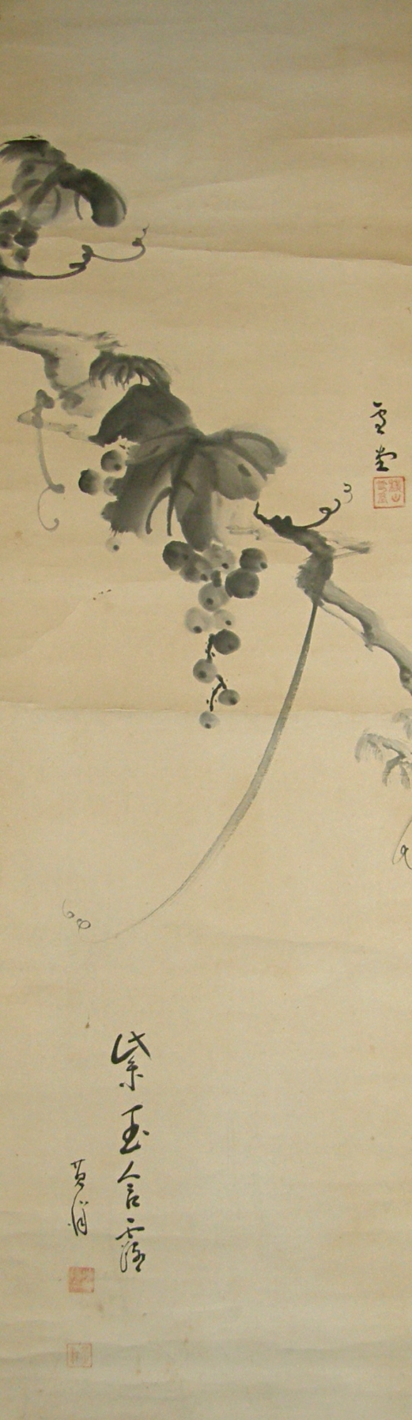 Budou (Grapevine)