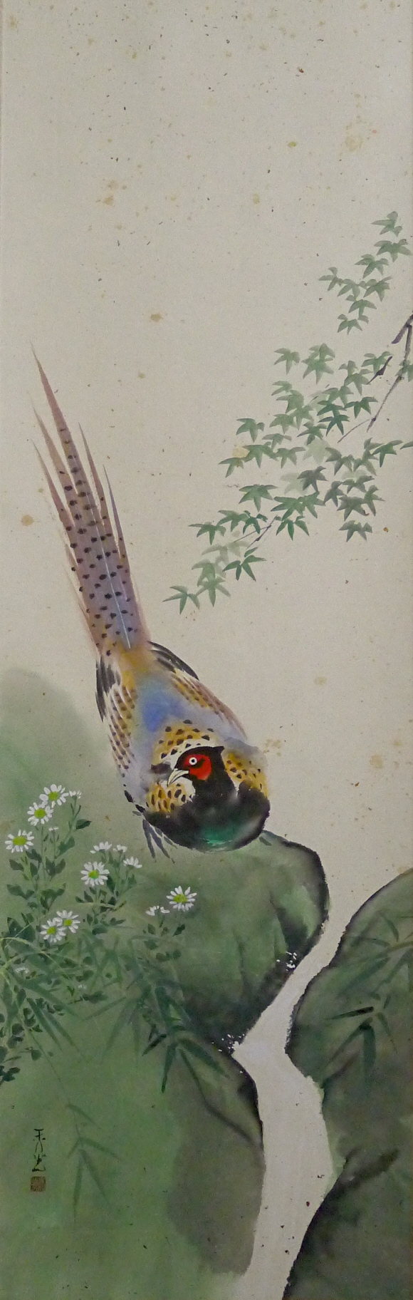 Japanese Pheasant Bird & Kaede Maple Leaves