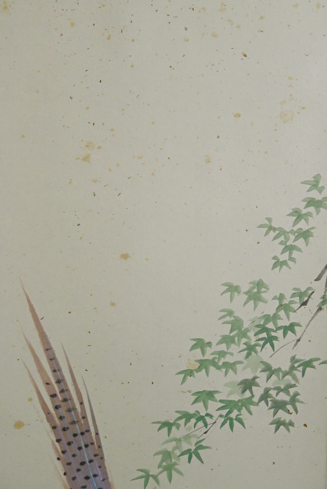 Kaede Japanese Maple Tree Branch
