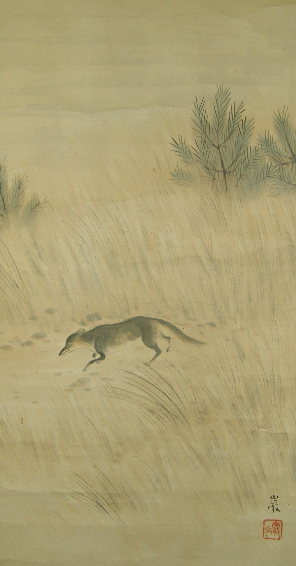 Fox and Silver Grass