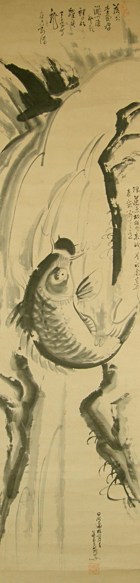Carp leaping over a Waterfall