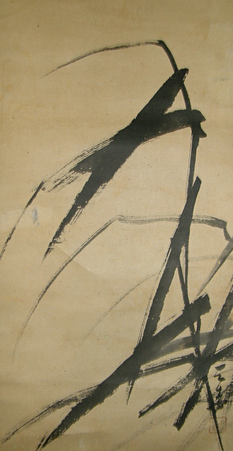 Susuki (Japanese Silver Grass)