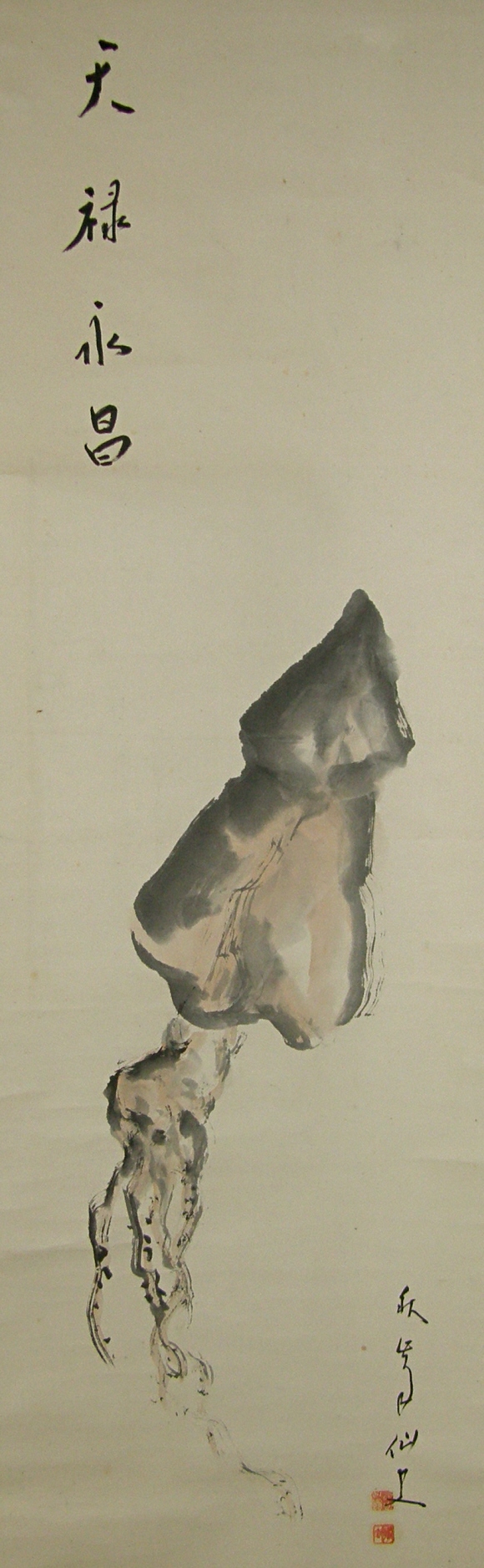 Japanese Squid (Sleeve Fish)