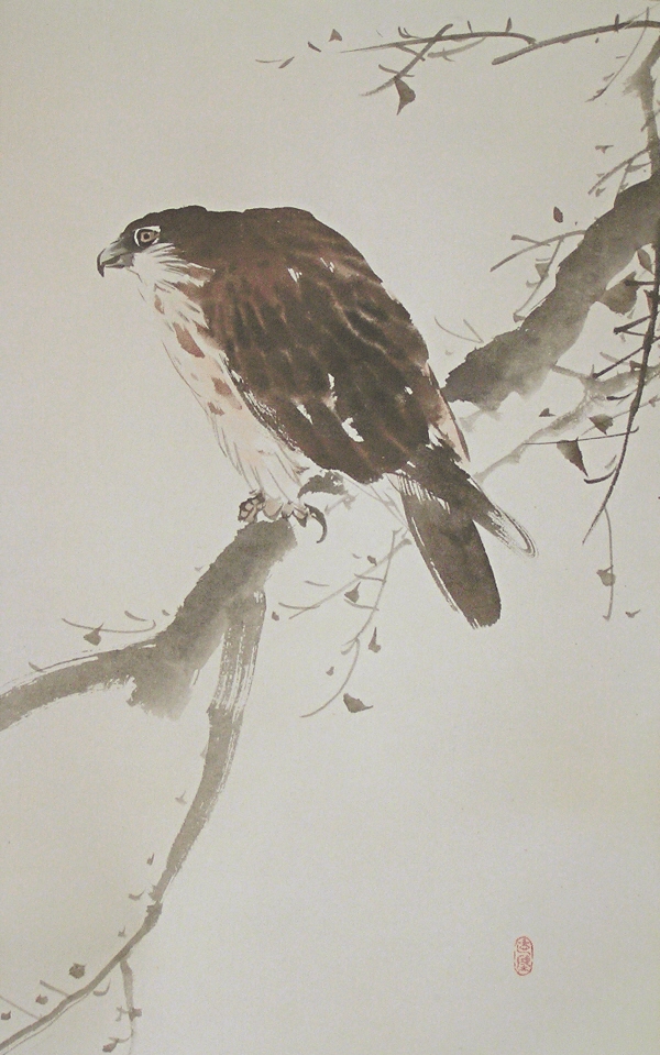 Taka bird (Hawk) is painted artistically
