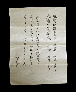 The Meaning of the Poem