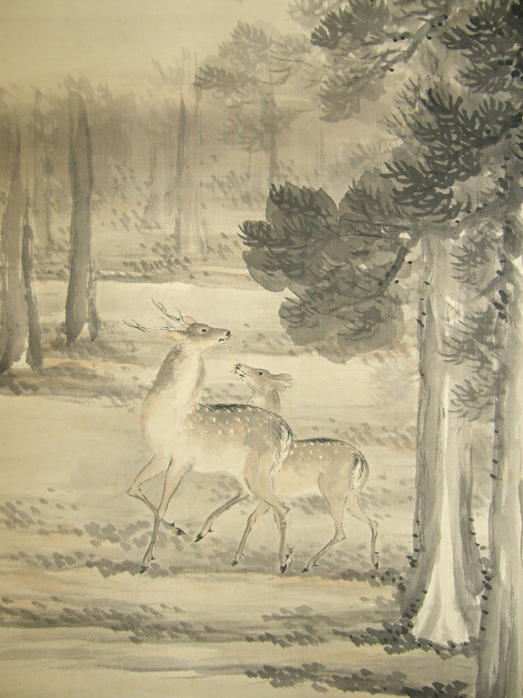 Japanese Deer in a Forest