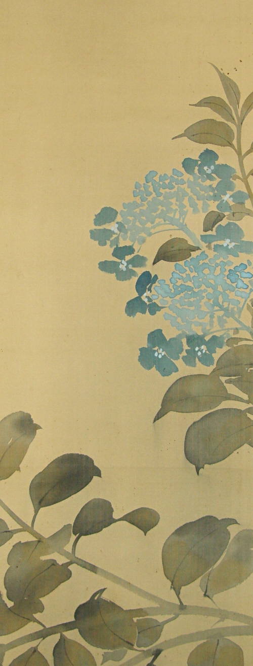 Hydrangea Flower & Leaf