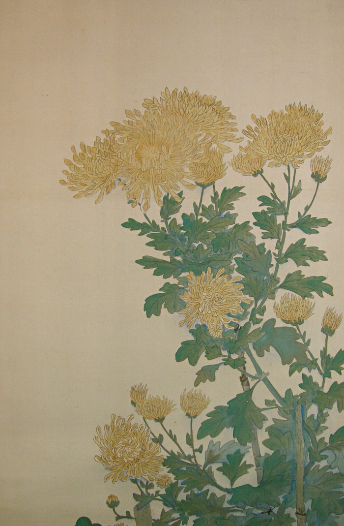 Japanese Chrysanthemum Painting Japanese Chrysanthemum Flower