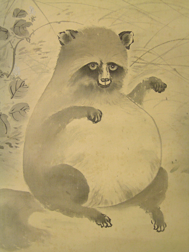 Raccoon Dog