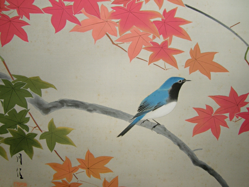 Autumn Color