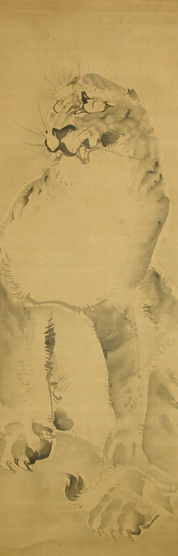 Tiger drawn with Japanese Brush