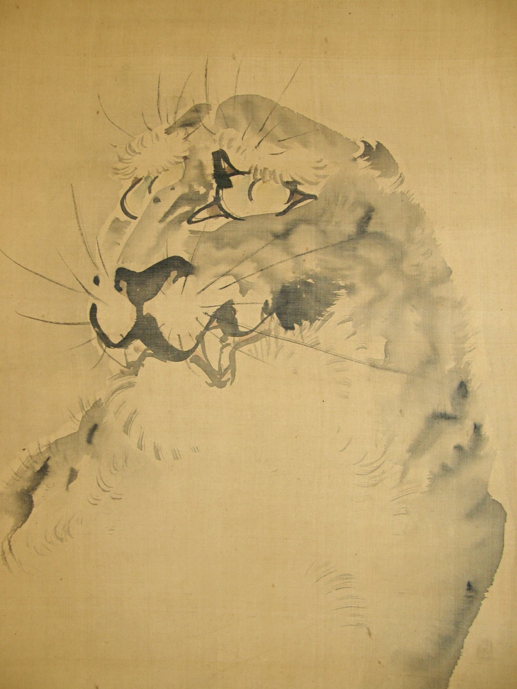 Tiger (Tora)