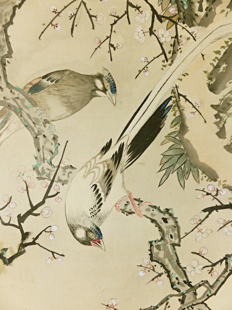 White Ume Flowers & Long-Tailed Cock Birds