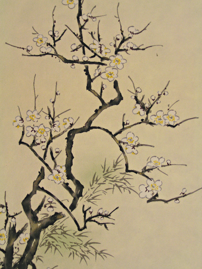 Ume, Plum, Japanese apricot tree