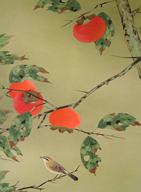 Japanese Persimmon Tree