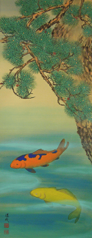 Koi Fish under the old Matsu tree