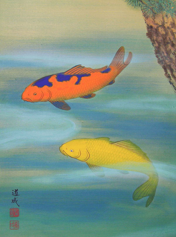Carp Fish