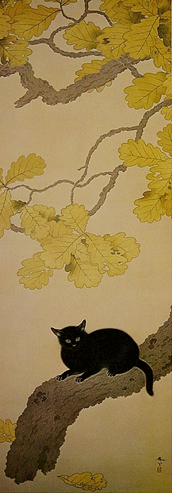 Kuro ki Neko, Black Cat 1910