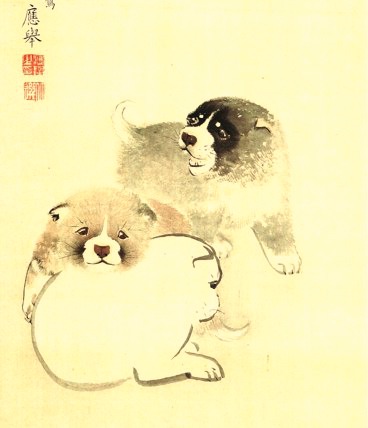 Koinu, Puppies 1784