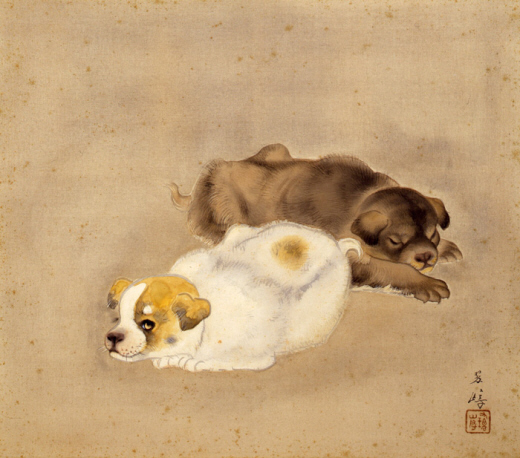 Kushi, Puppies