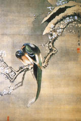 Ume Tree & Long-tailed Cock