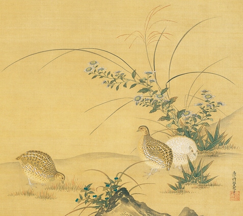 Akikusa Uzura-zu, Autumn Flowers & Quails 17th Century