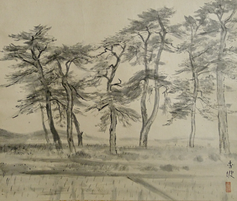 Matsu Trees in Rice Paddy