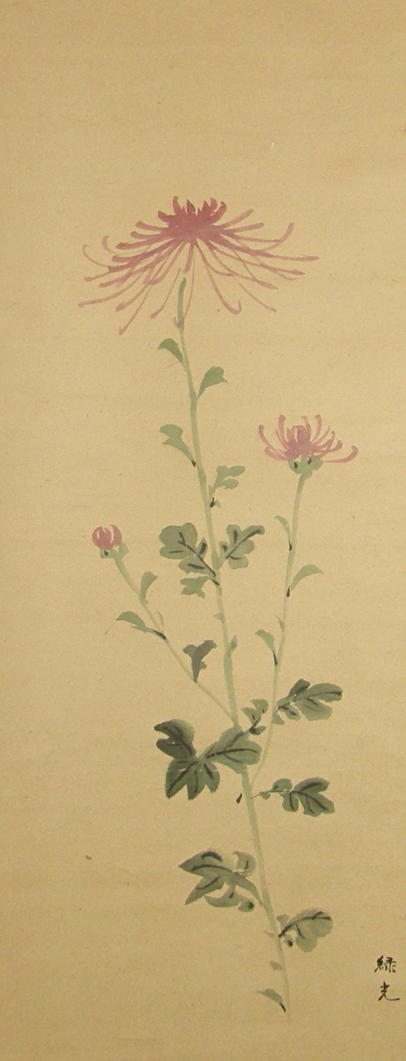 Japanese Kiku (chrysanthemum) Flower & Leaf