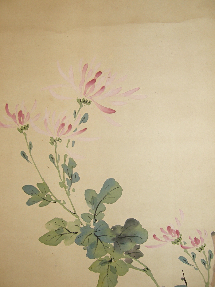 Red Kiku (chrysanth) Flowers