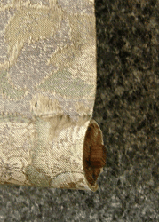 Another Roller End is Lost