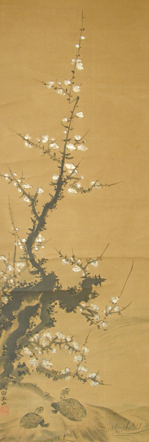 Japanese Ume Flowers