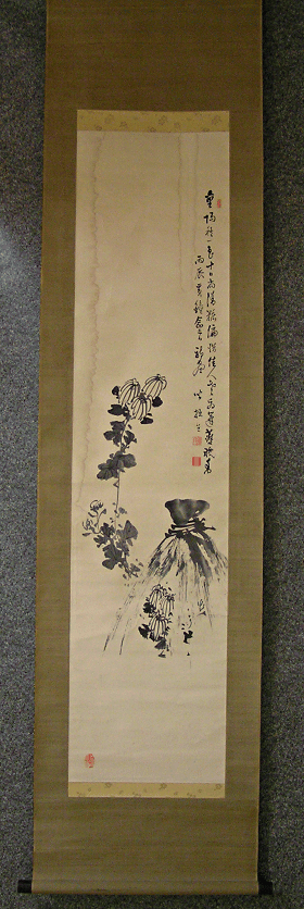 Kiku Flowers
