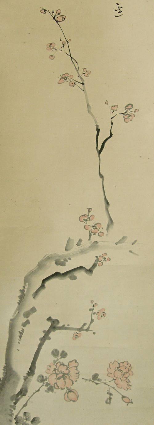 Japanese Apricot Tree (Ume)