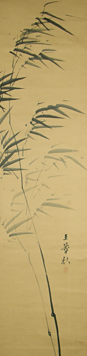 Bamboo Tree (Sasa)