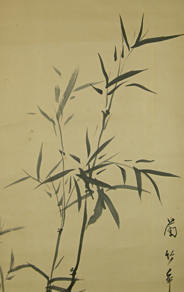 Sasa (Bamboo)