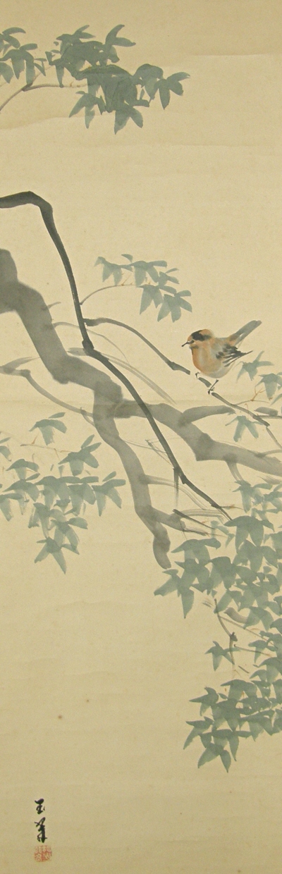 Sparrow on Japanese Maple tree branch