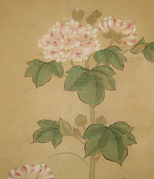 Botan, Peony Flowers