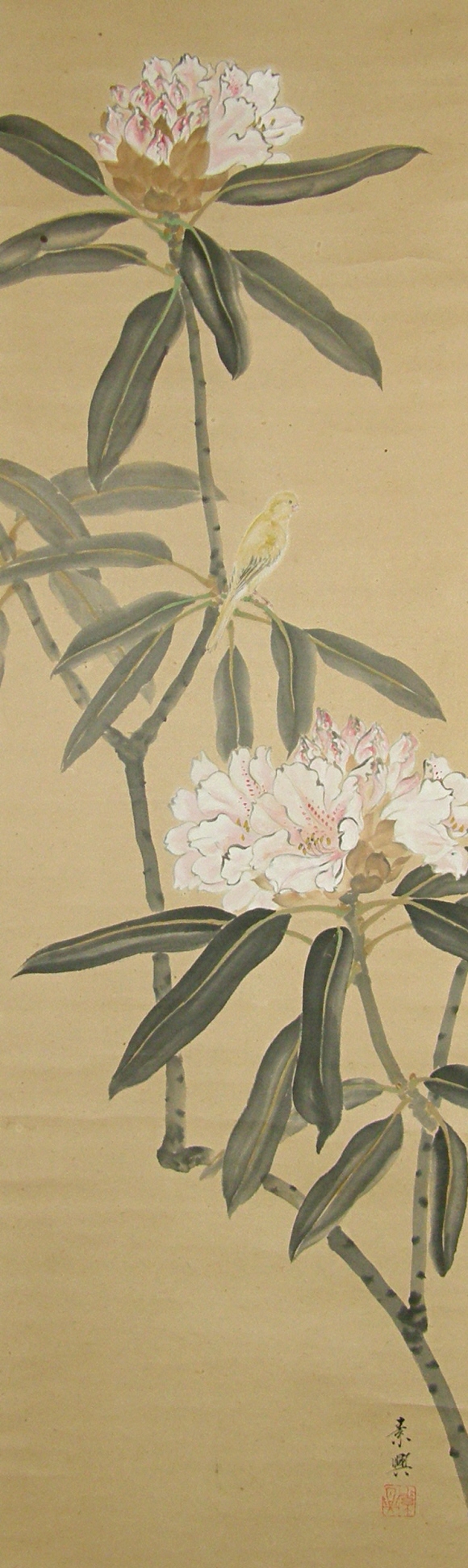 Bird, Japanese Peony Flowers & Leaves