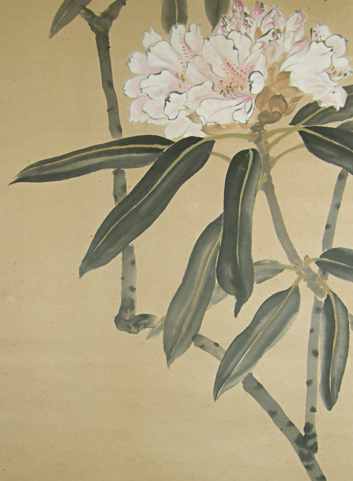 Shakuyaku Flowers & Leaves