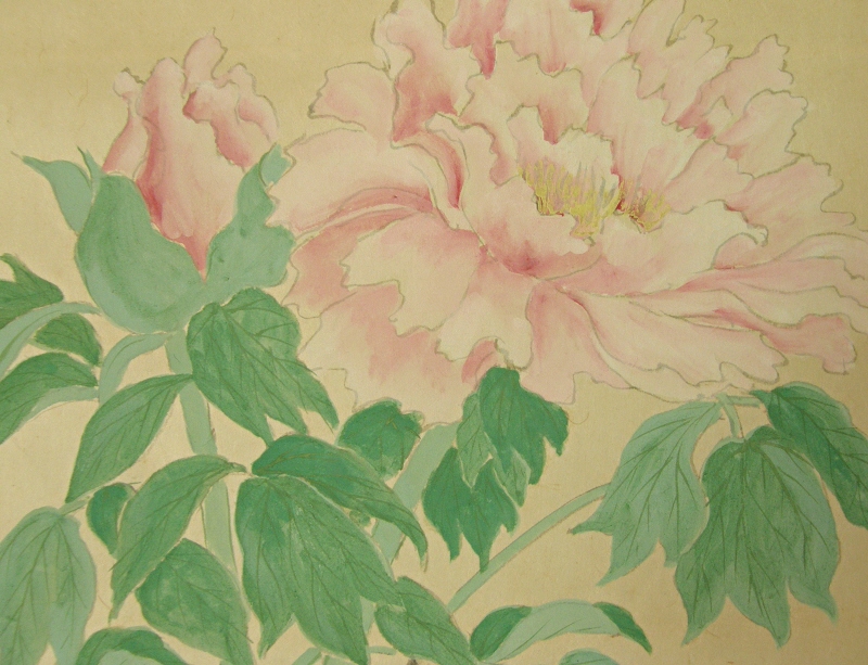 Japanese Peony Flowers & Leaves