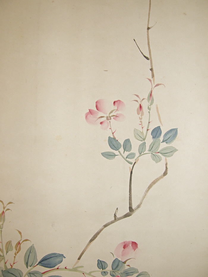 Mokuren (Lily Magnolia) Flowers