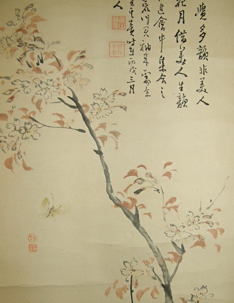 Sakura (Japanese Cherry) Flowers & Butterfly