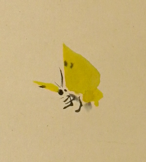 Butterfly