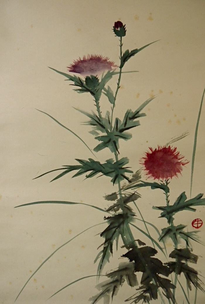 Azami Thistle Flowers & Leaves
