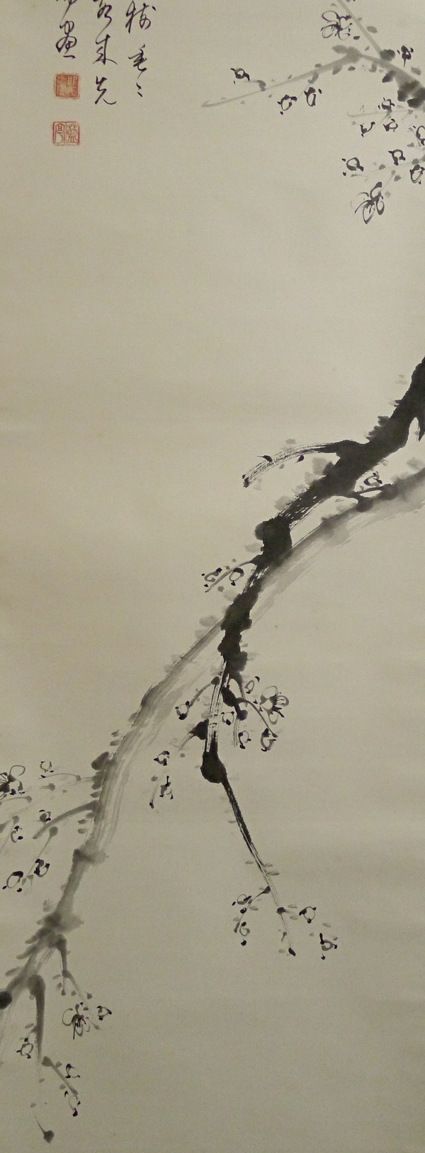 Ume Japanese Plum Tree and Flowers