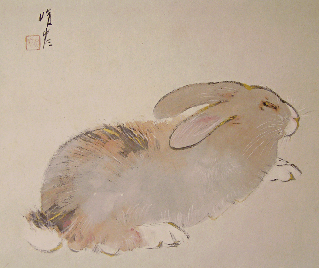 rabbit